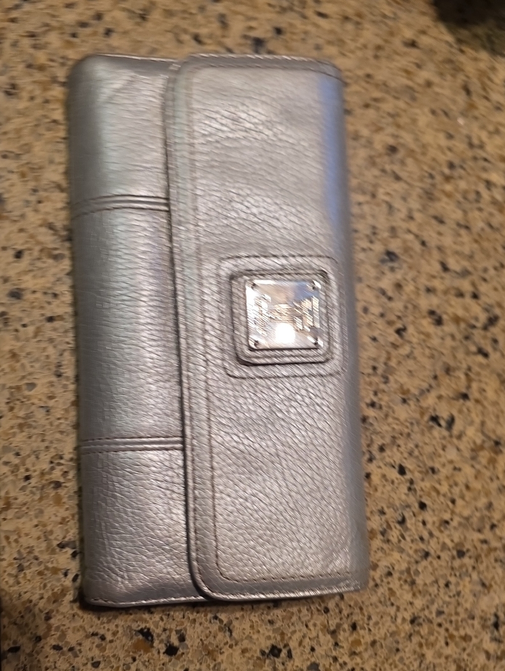 Tignanello Metallic Silver Leather Wallet Phone Case with Metal Emblem